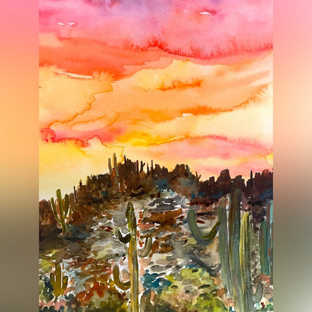 Sonora Desert 🌵 sunset landscape